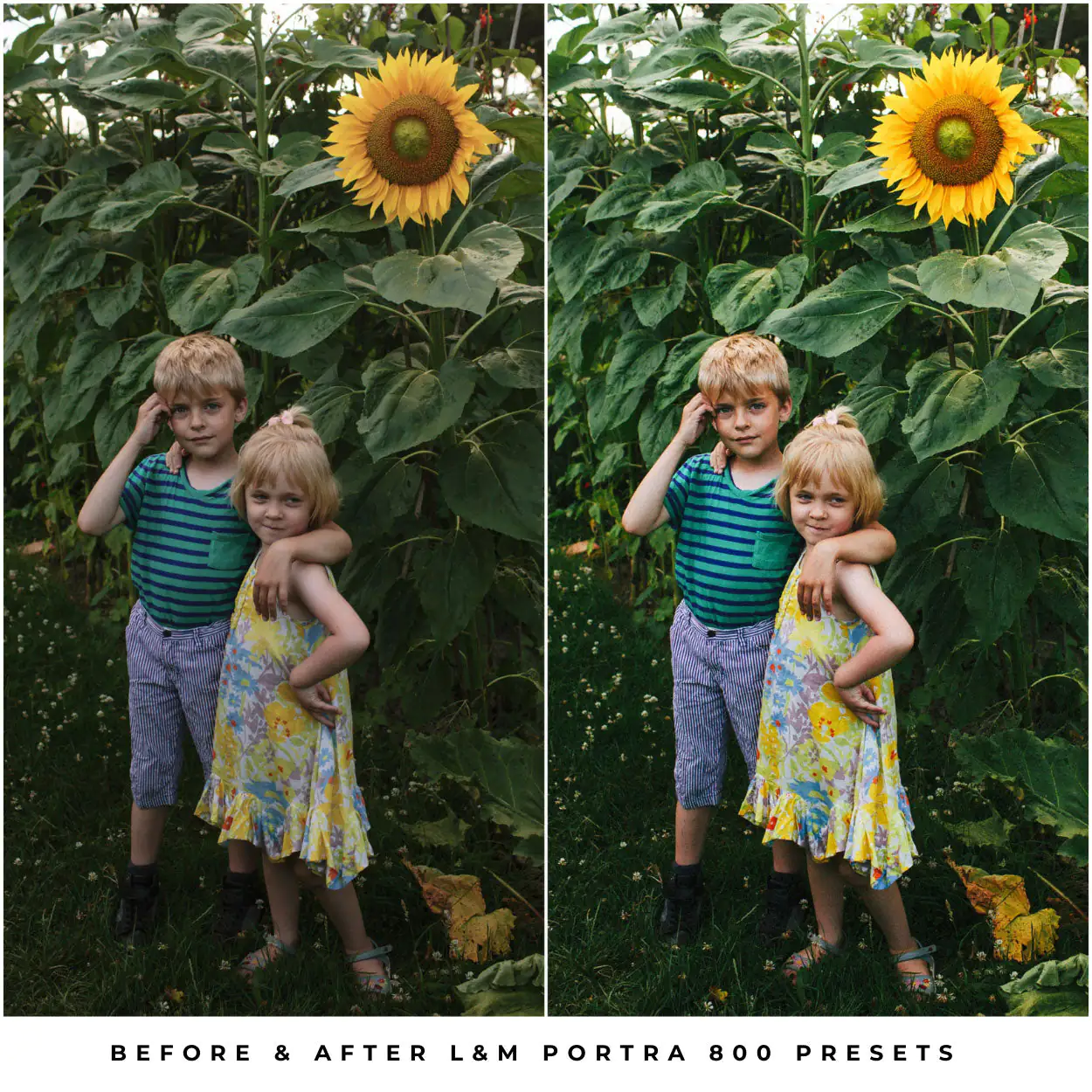 Kodak Portra 800 Film Preset Collection - Image 6