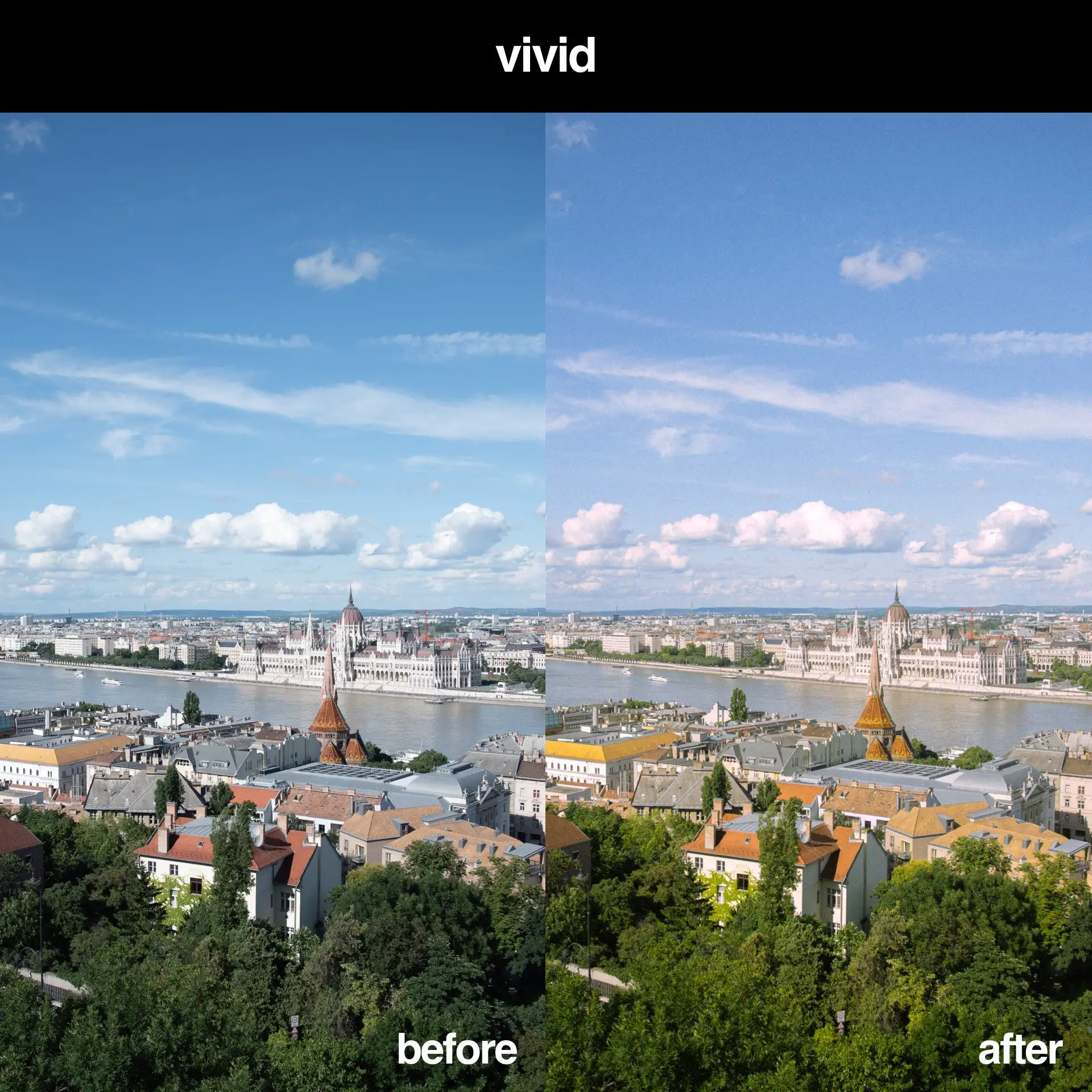 The Ultimate CineStill Lightroom Preset Pack [8 Presets] - Image 10