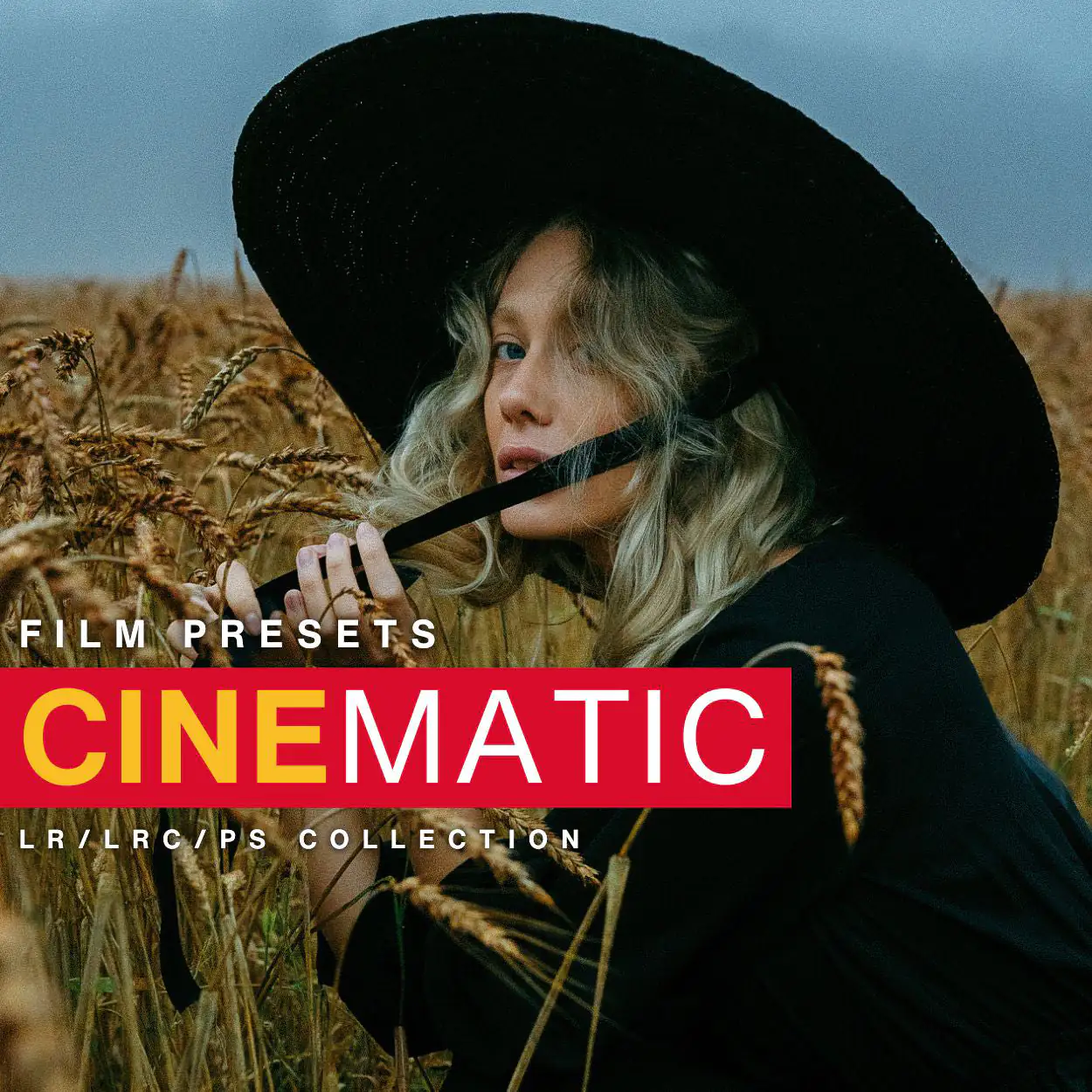 Cinematic Preset Collection - Image 10