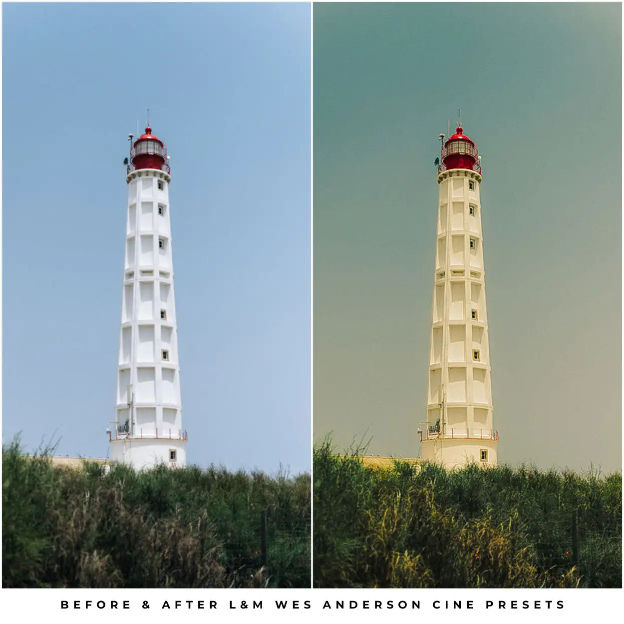 Wes Anderson Style Preset Collection - Image 8