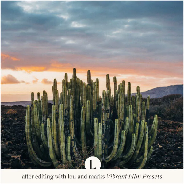 Vibrant Film Preset Collection - Image 6