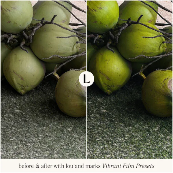 Vibrant Film Preset Collection - Image 14