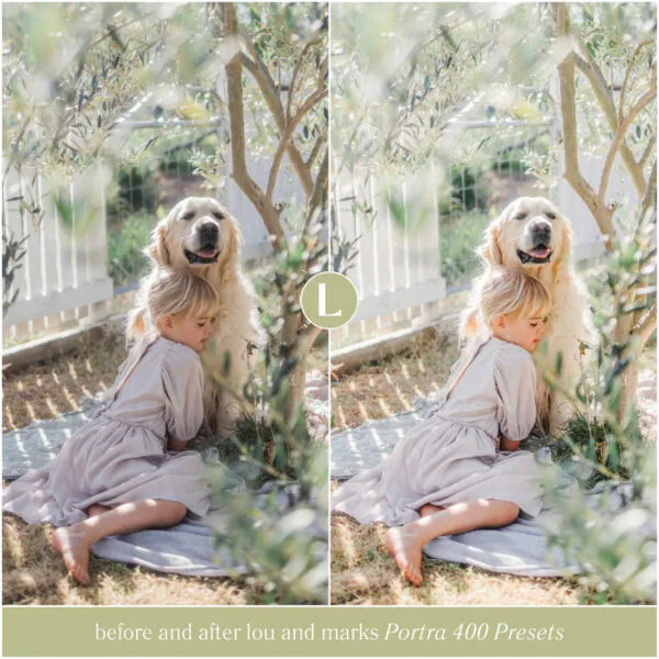 Portra 400 Preset Collection - Image 3