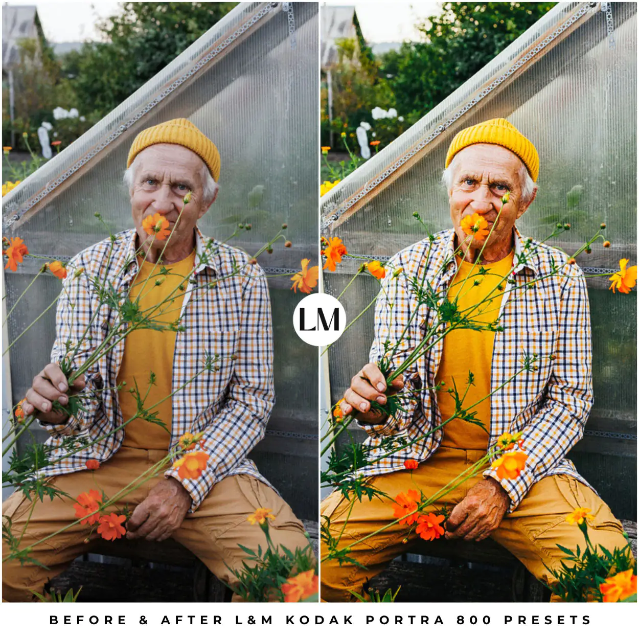 Kodak Portra 800 Film Preset Collection - Image 2