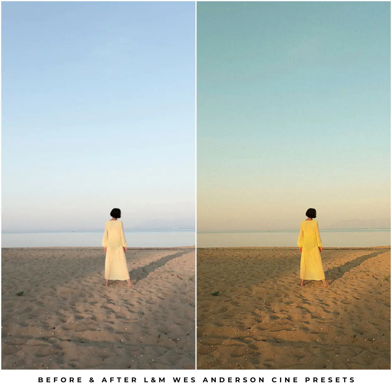 Wes Anderson Style Preset Collection - Image 11