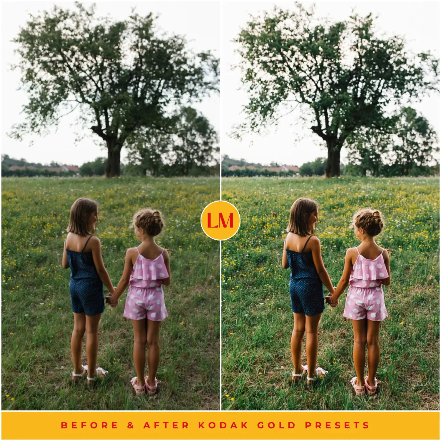 Kodak Gold 200 Film Preset Collection - Image 9