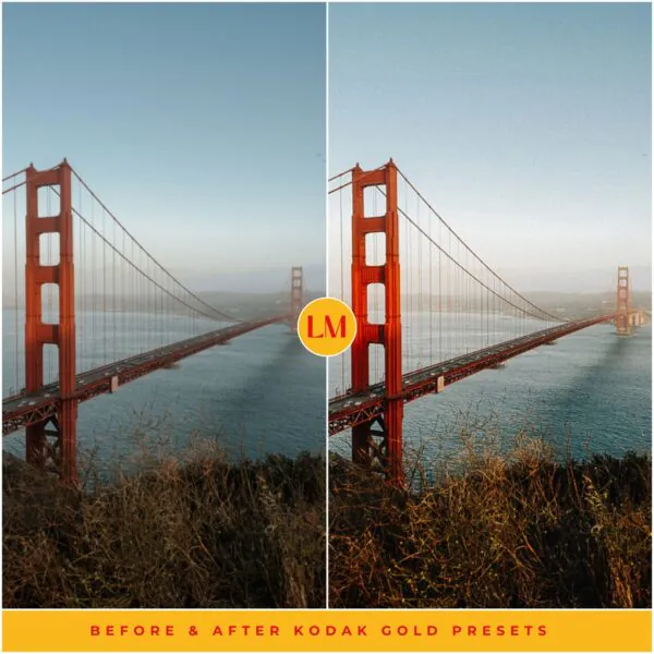 Kodak Gold 200 Film Preset Collection - Image 5