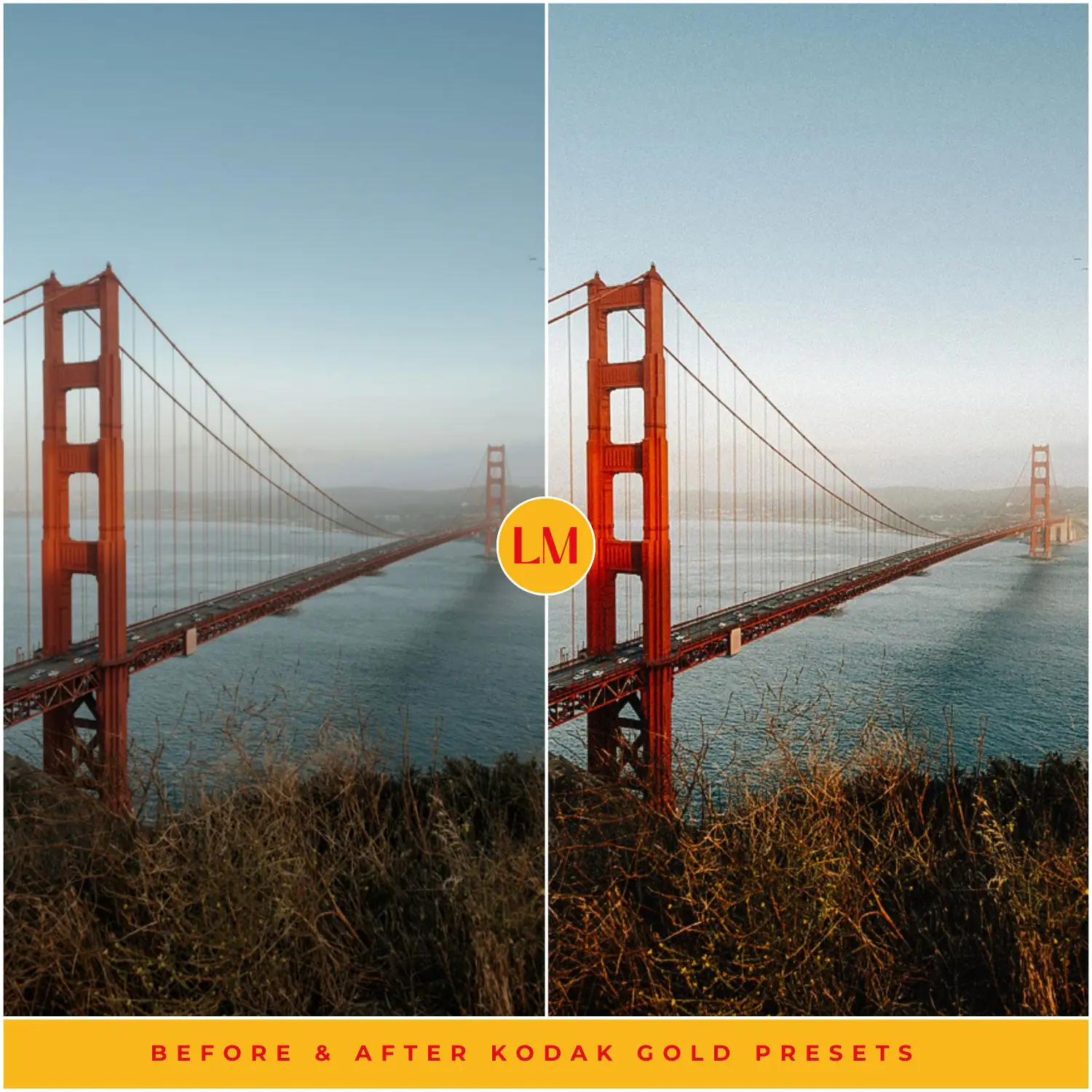 Kodak Gold 200 Film Preset Collection - Image 5