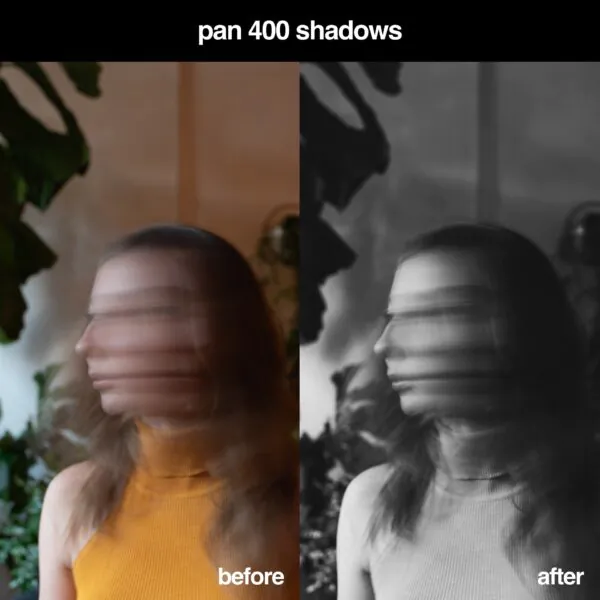 The Ultimate Ilford Lightroom Preset Pack [7 Presets] - Image 5