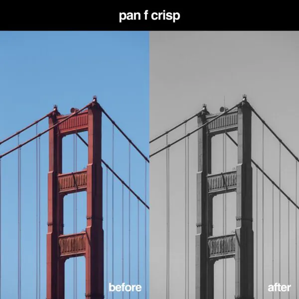 The Ultimate Ilford Lightroom Preset Pack [7 Presets] - Image 6