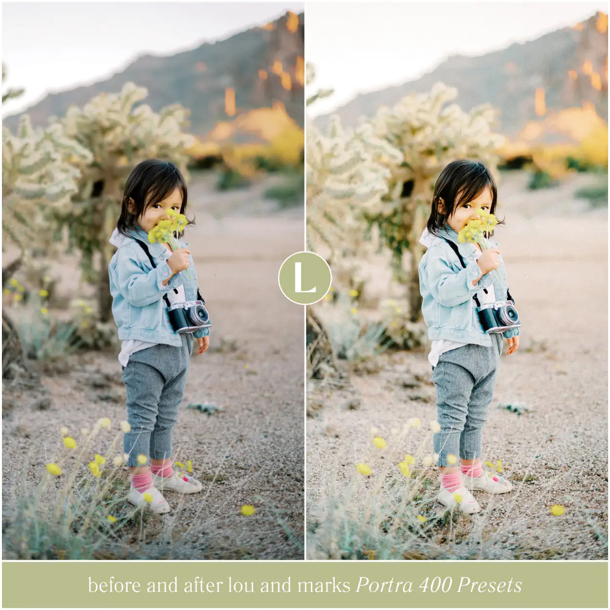 Portra 400 Preset Collection - Image 4