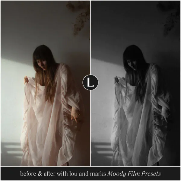 Moody Film Preset Collection - Image 3