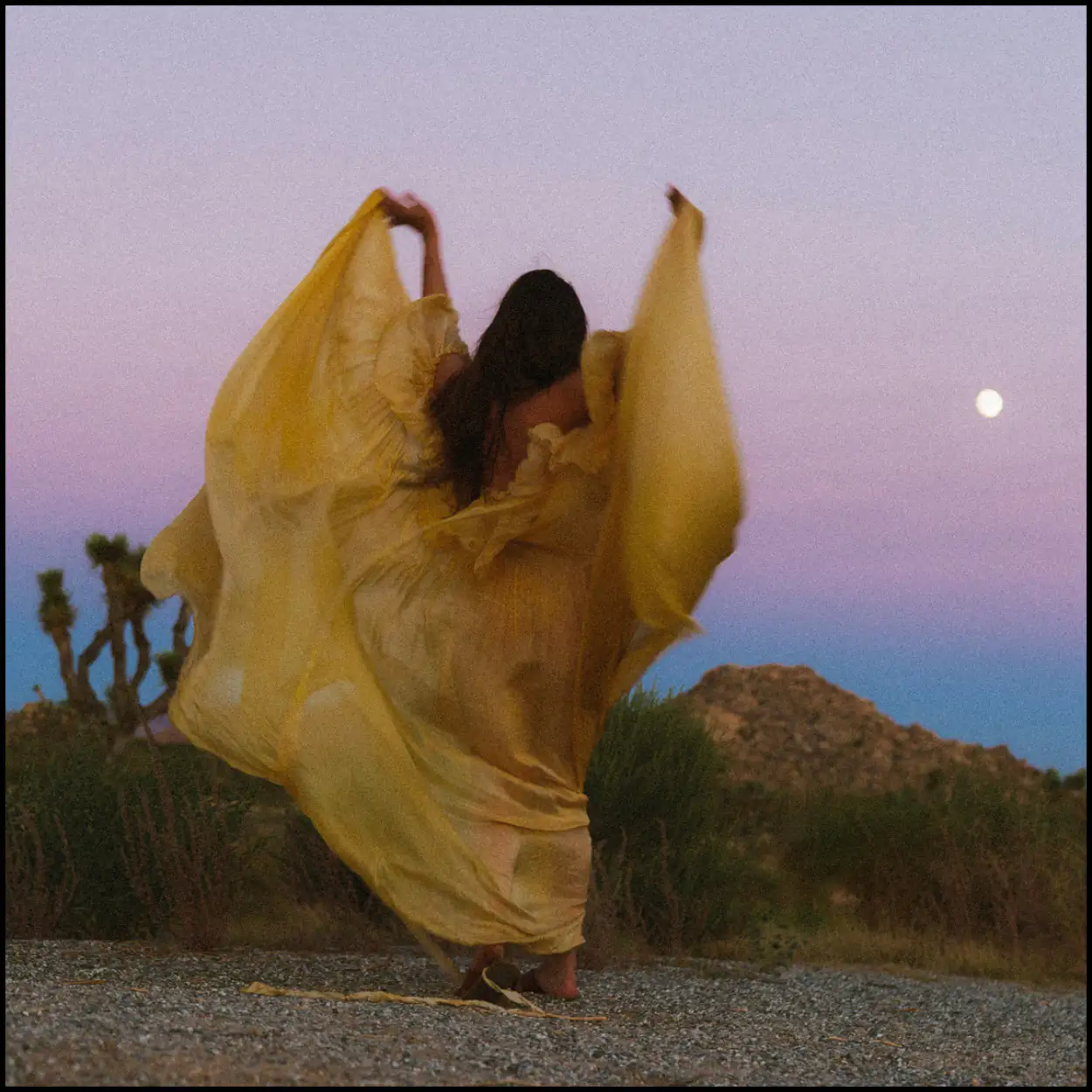 Film Preset Bundle - Image 35