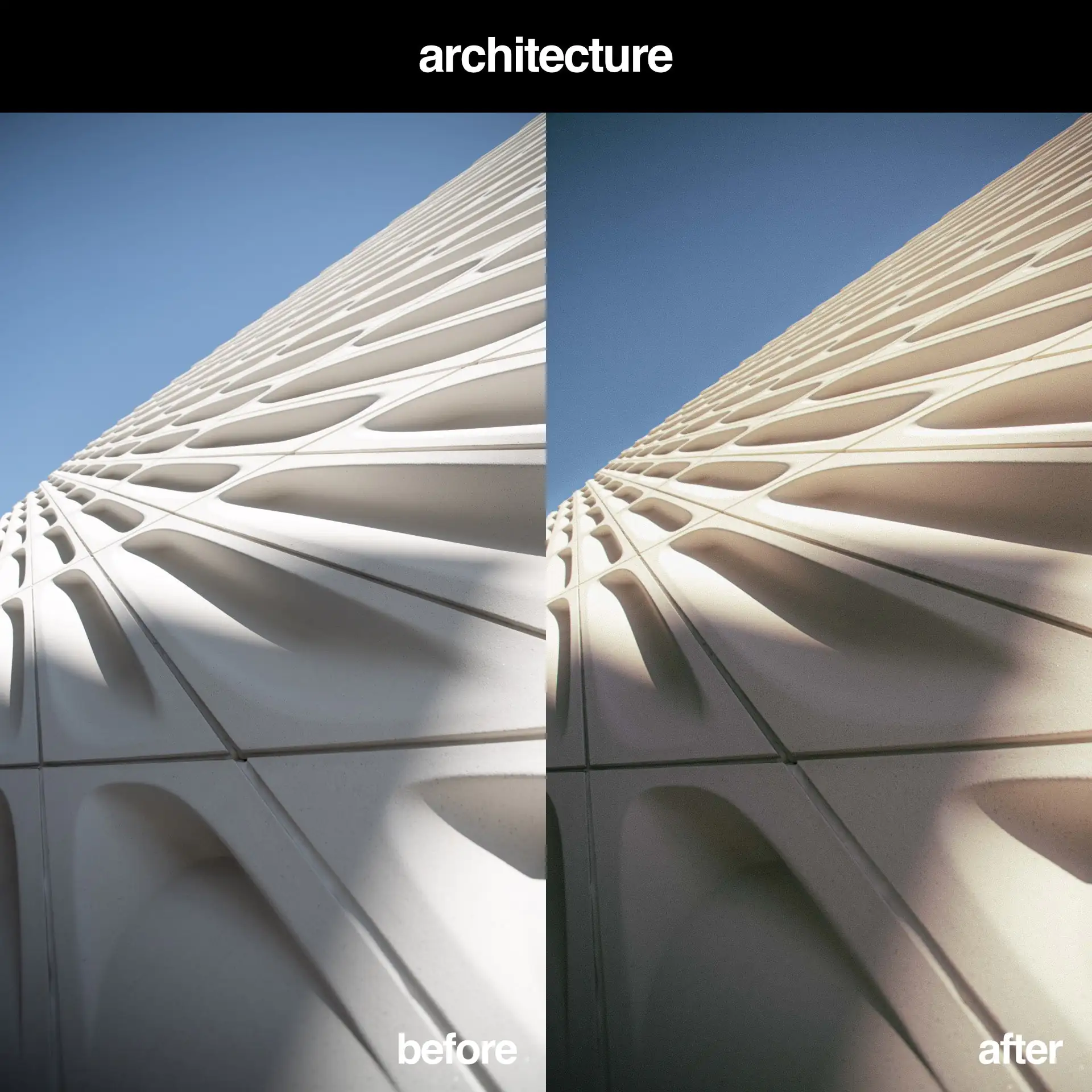 The Ultimate Kodak Ektar Lightroom Preset Pack [8 Presets] - Image 9