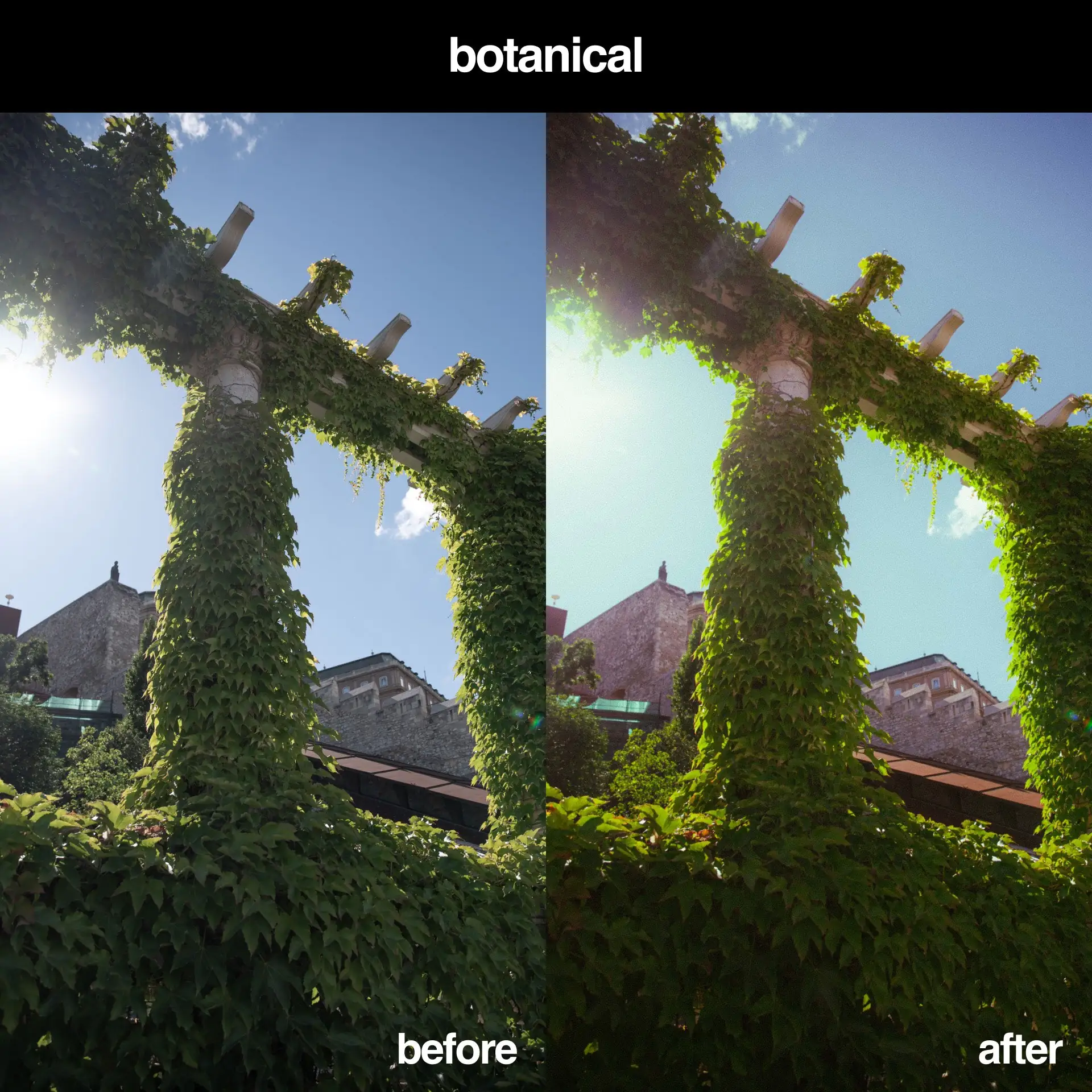 The Ultimate Kodak Ektar Lightroom Preset Pack [8 Presets] - Image 7