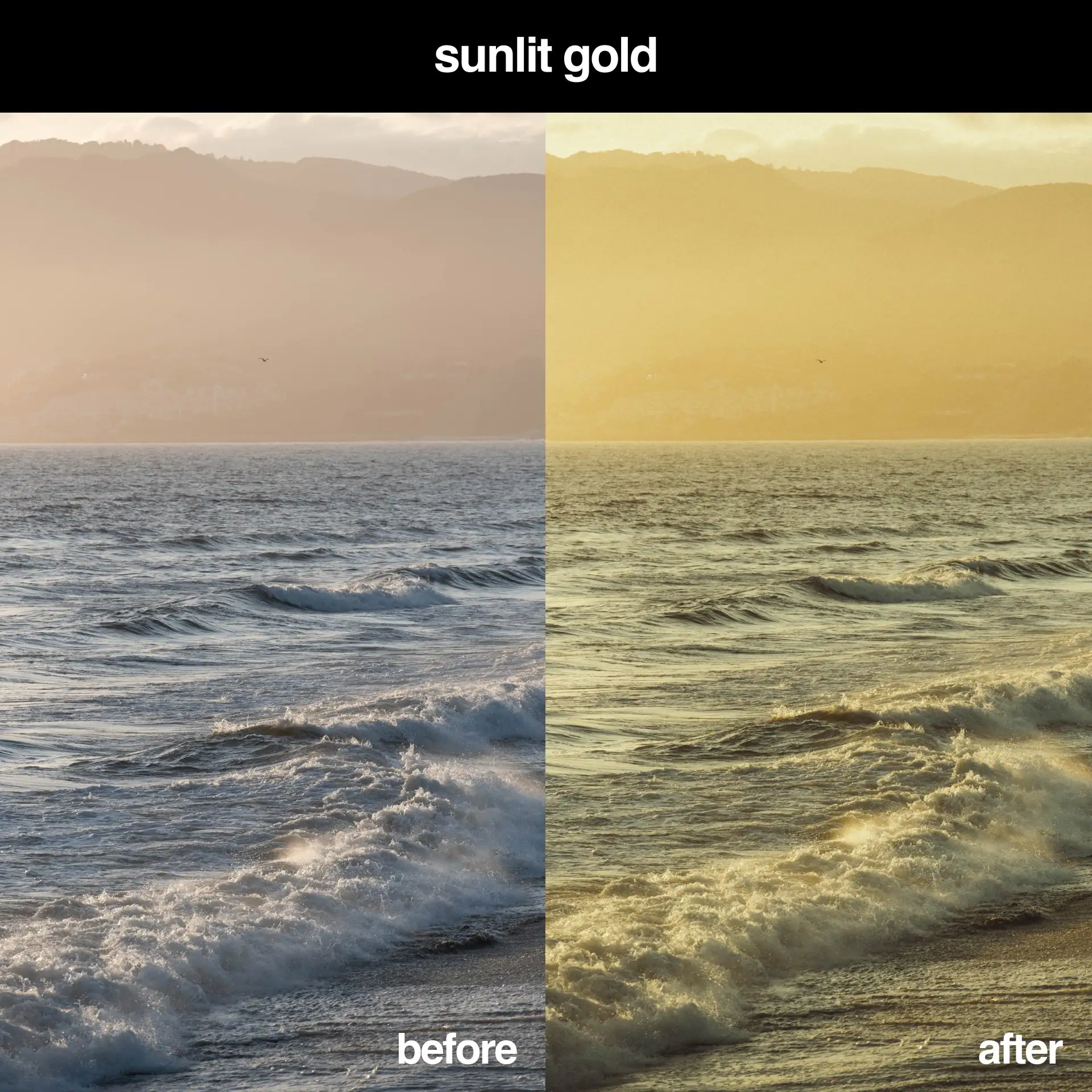 The Ultimate Kodak Gold Lightroom Preset Pack [11 Presets] - Image 7