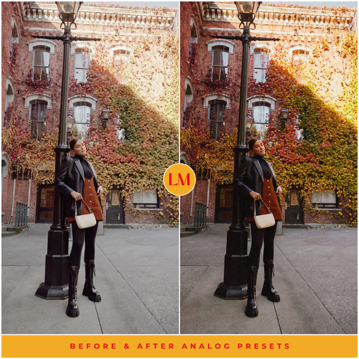 Analog Film Preset Collection - Image 6