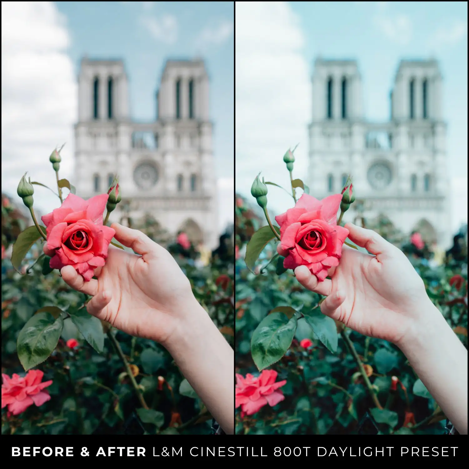 CineStill 800T Lightroom Presets 15 CineStill 800T Lightroom Presets - Image 15