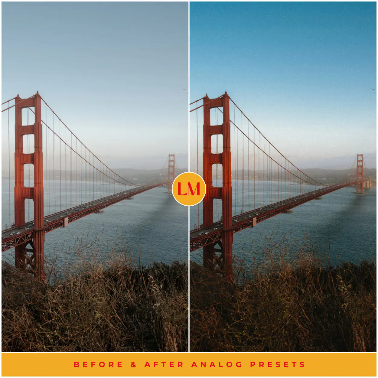 Analog Film Preset Collection - Image 5