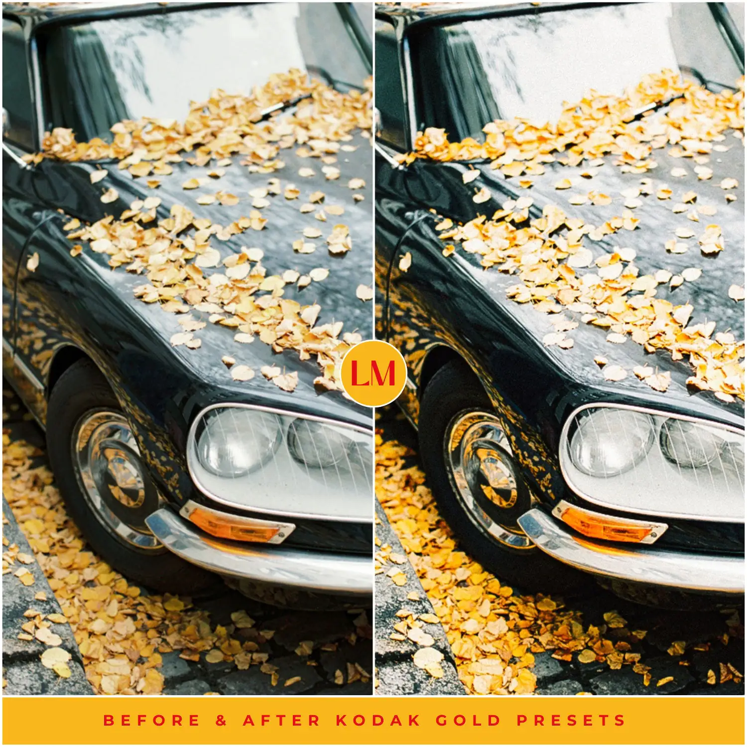 Kodak Gold 200 Film Preset Collection - Image 10