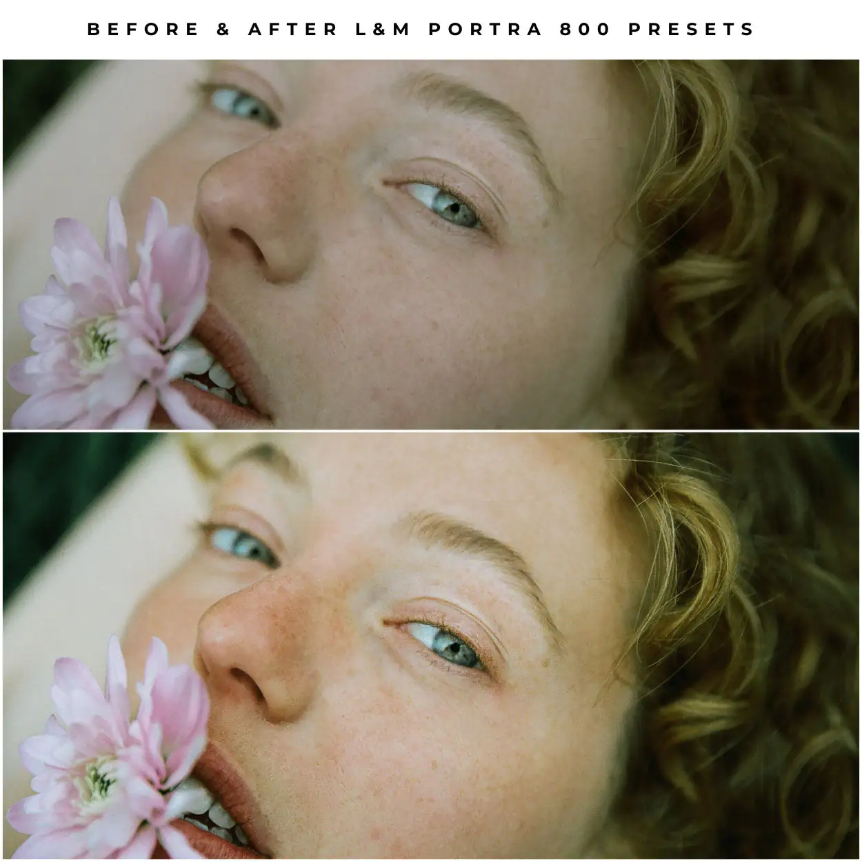 Kodak Portra 800 Film Preset Collection - Image 4