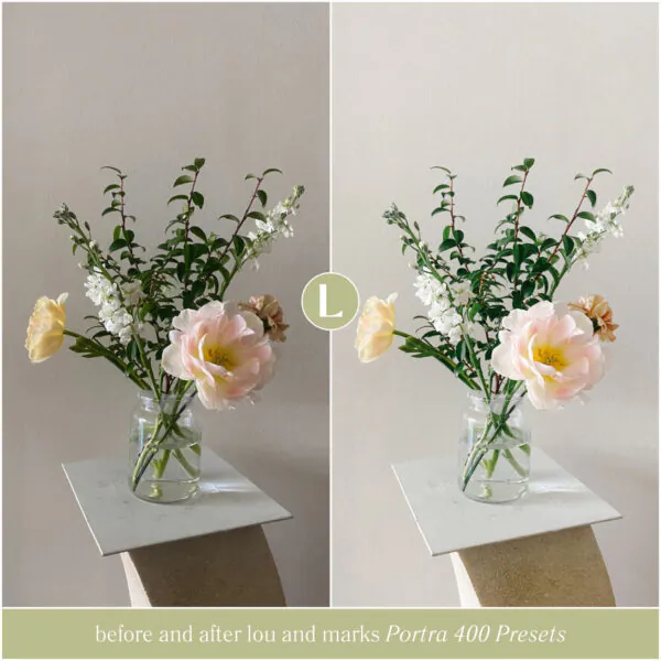 Portra 400 Preset Collection - Image 14
