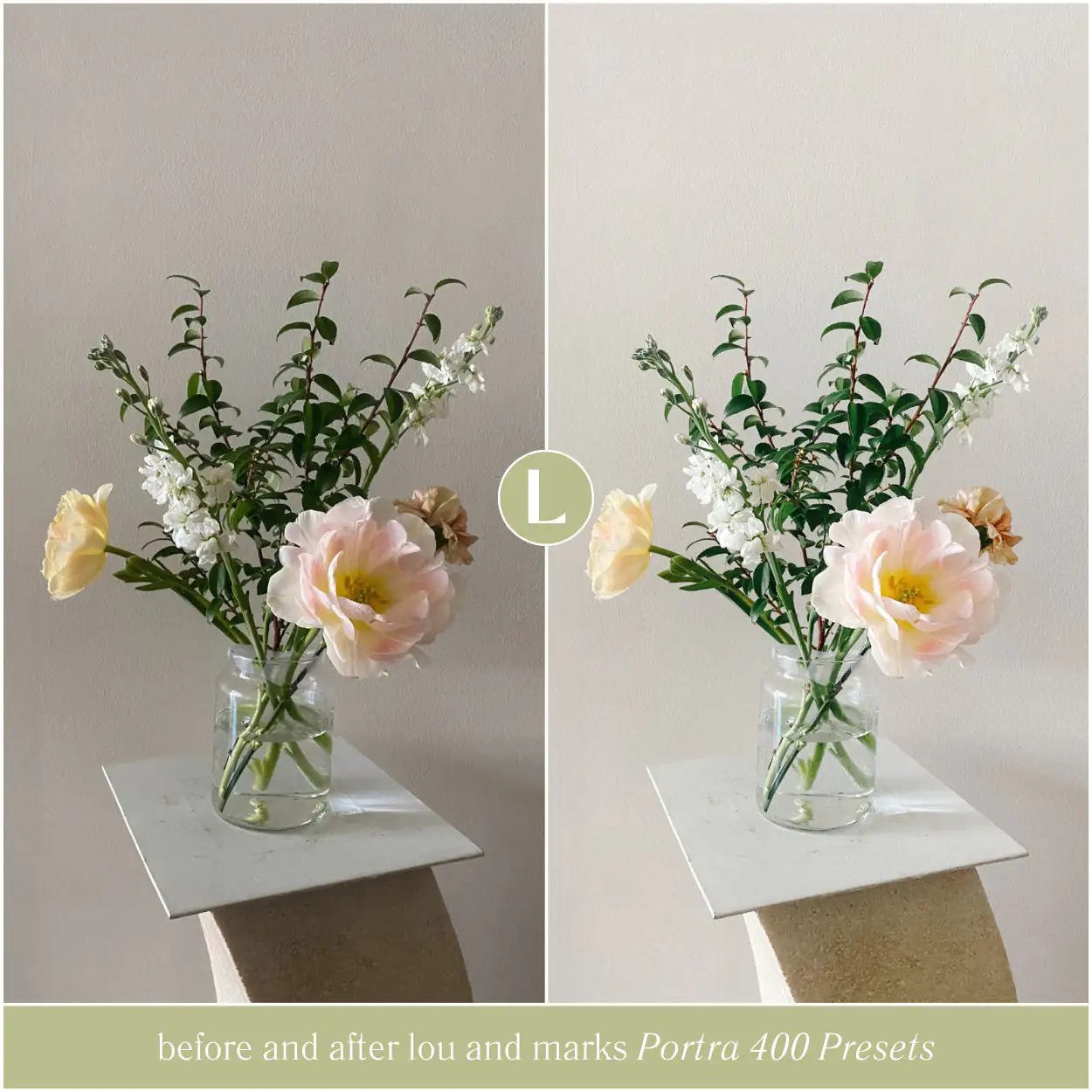 Portra 400 Preset Collection - Image 14