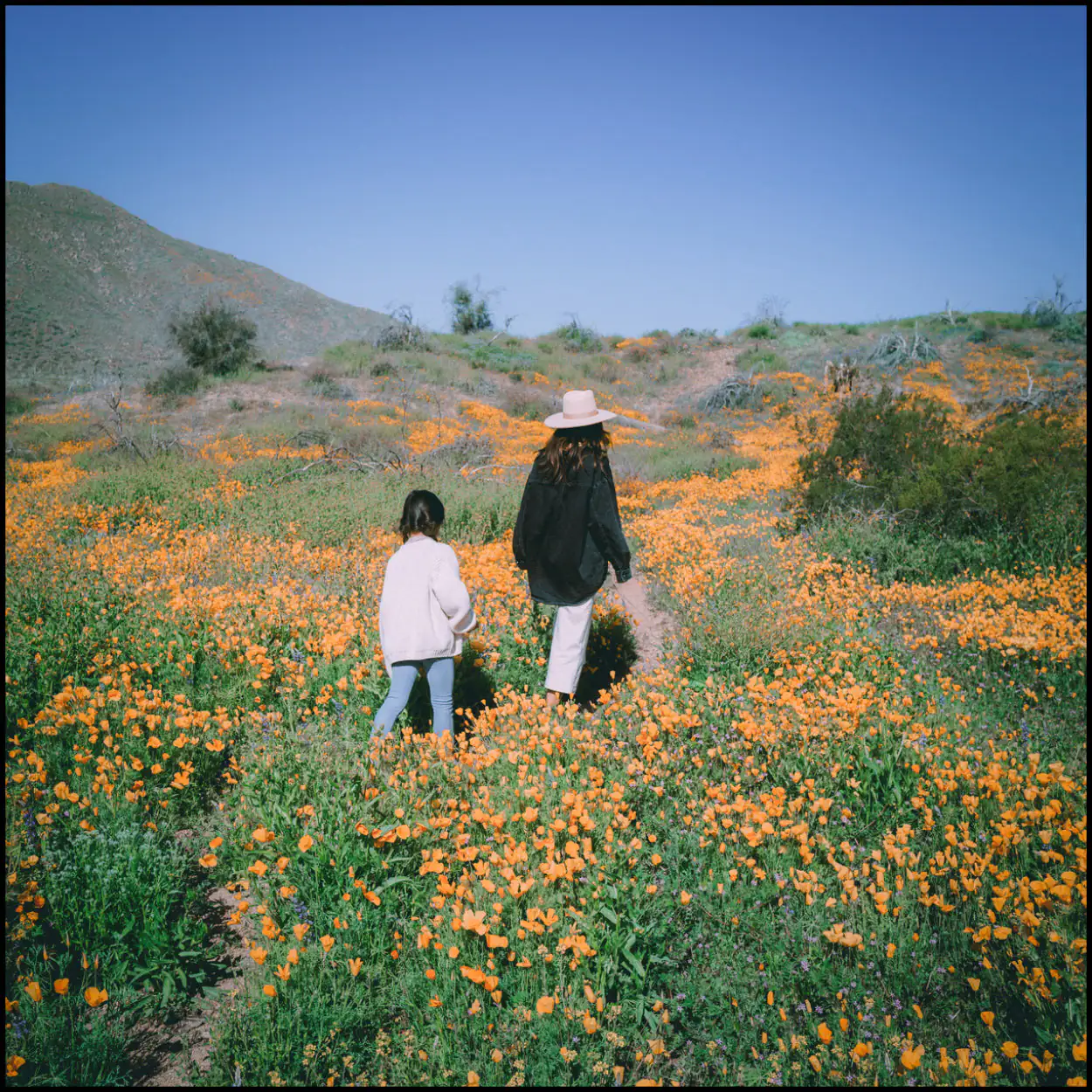 Film Preset Bundle - Image 33