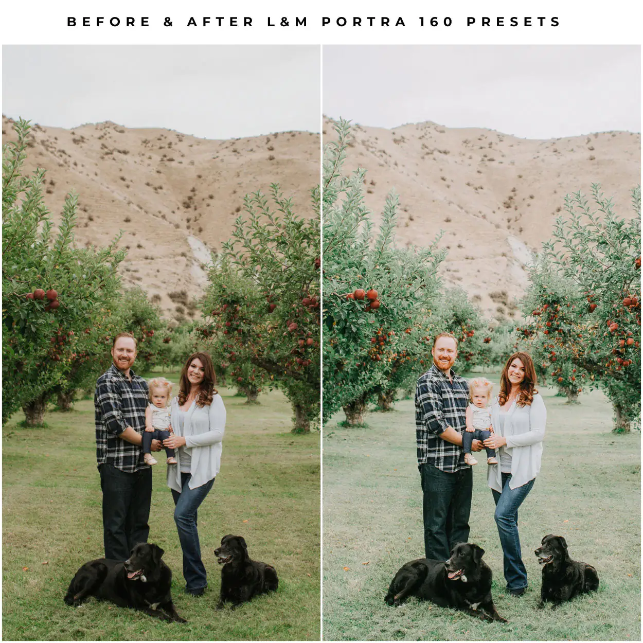 Kodak Portra 160 Film Preset Collection - Image 5