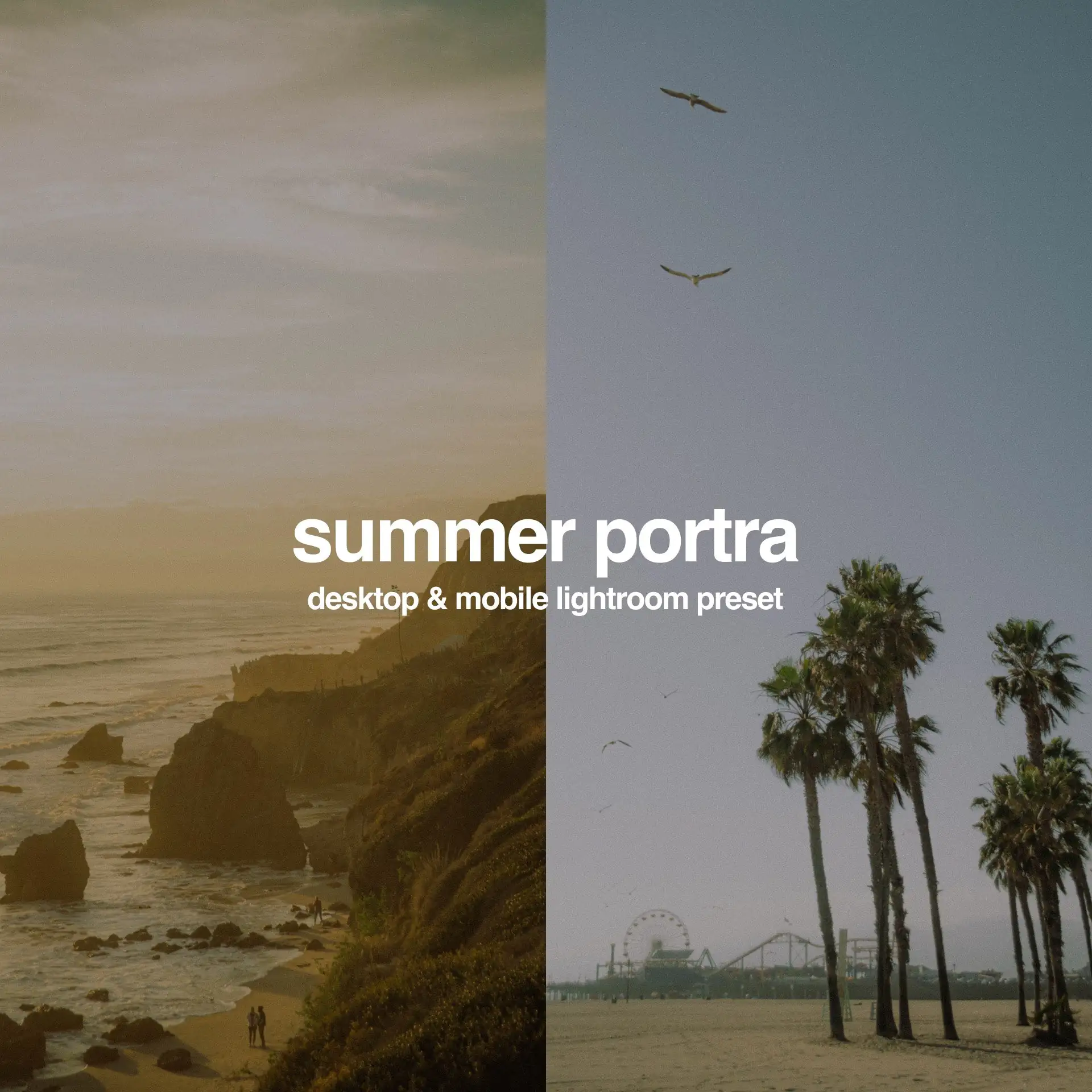 Summer Portra 400 Lightroom Preset
