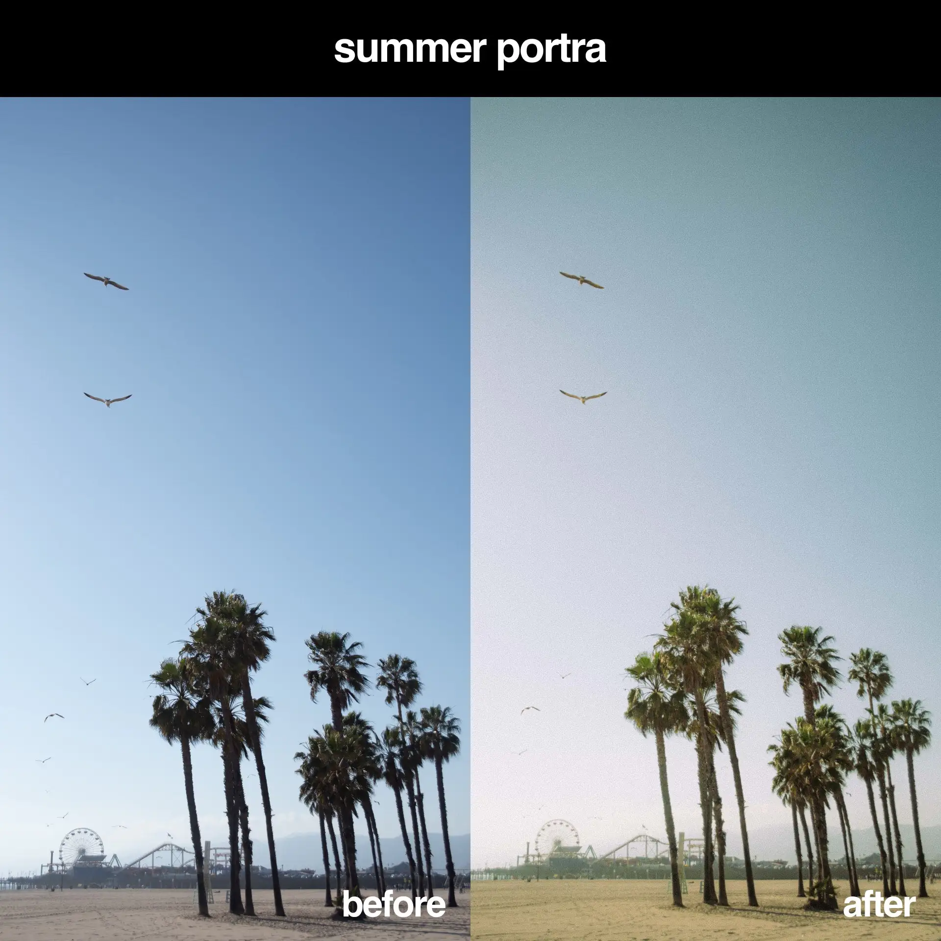 Summer Portra 400 Lightroom Preset 2 Summer Portra 400 Lightroom Preset - Image 2