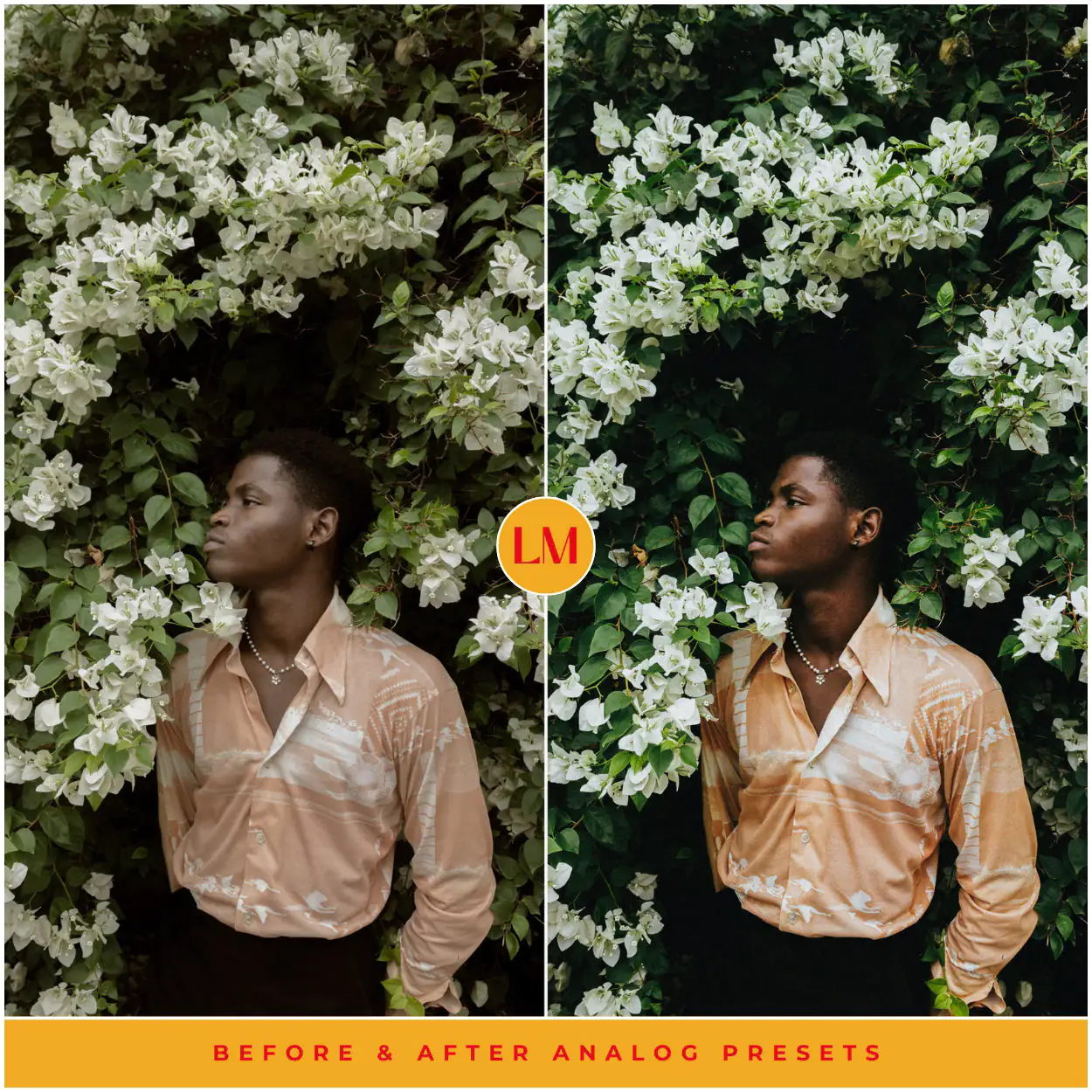 Analog Film Preset Collection - Image 7