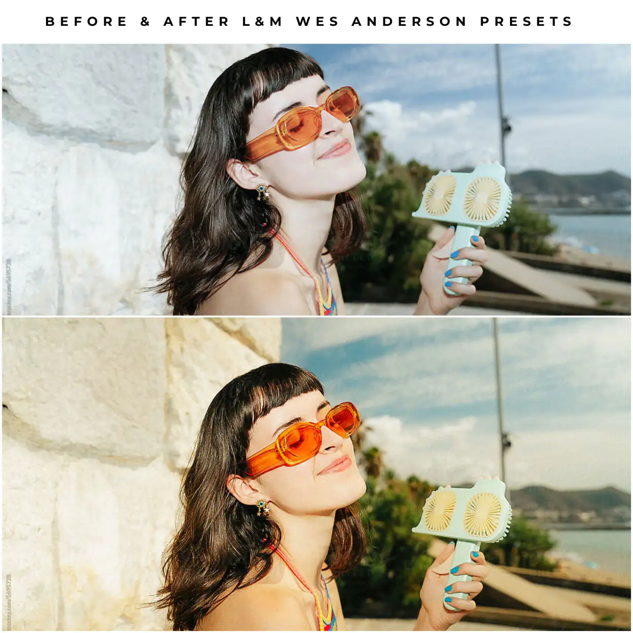 Wes Anderson Style Preset Collection - Image 4