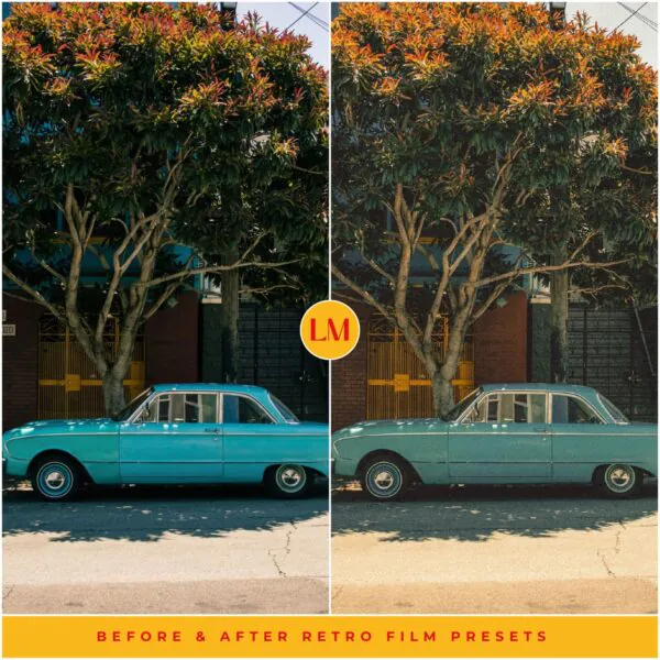 Retro Film Preset Collection - Image 7