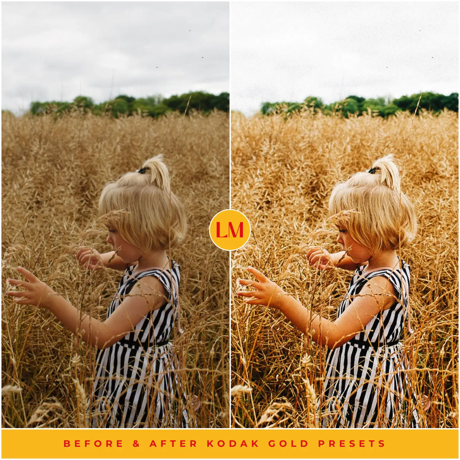 Kodak Gold 200 Film Preset Collection - Image 19