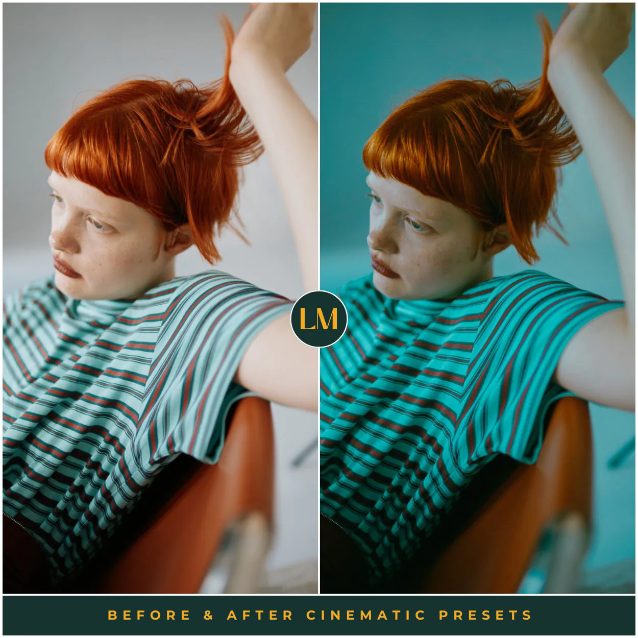 Cinematic Preset Collection - Image 2