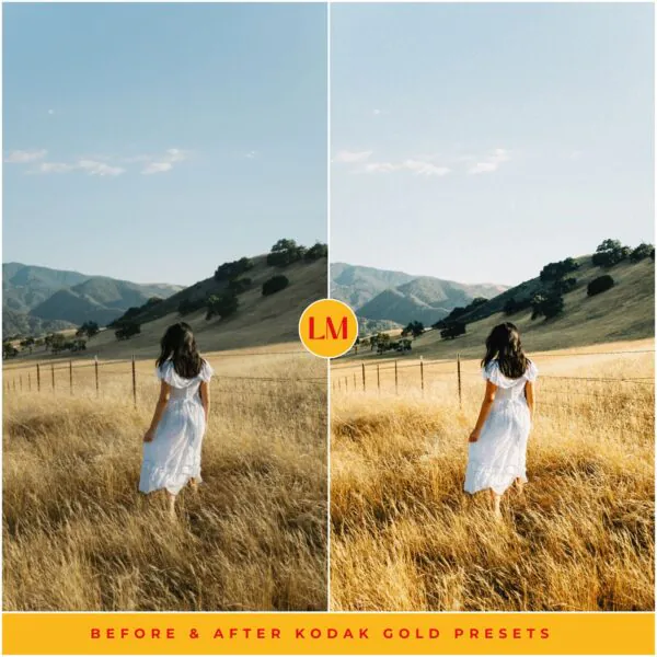 Kodak Gold 200 Film Preset Collection - Image 12