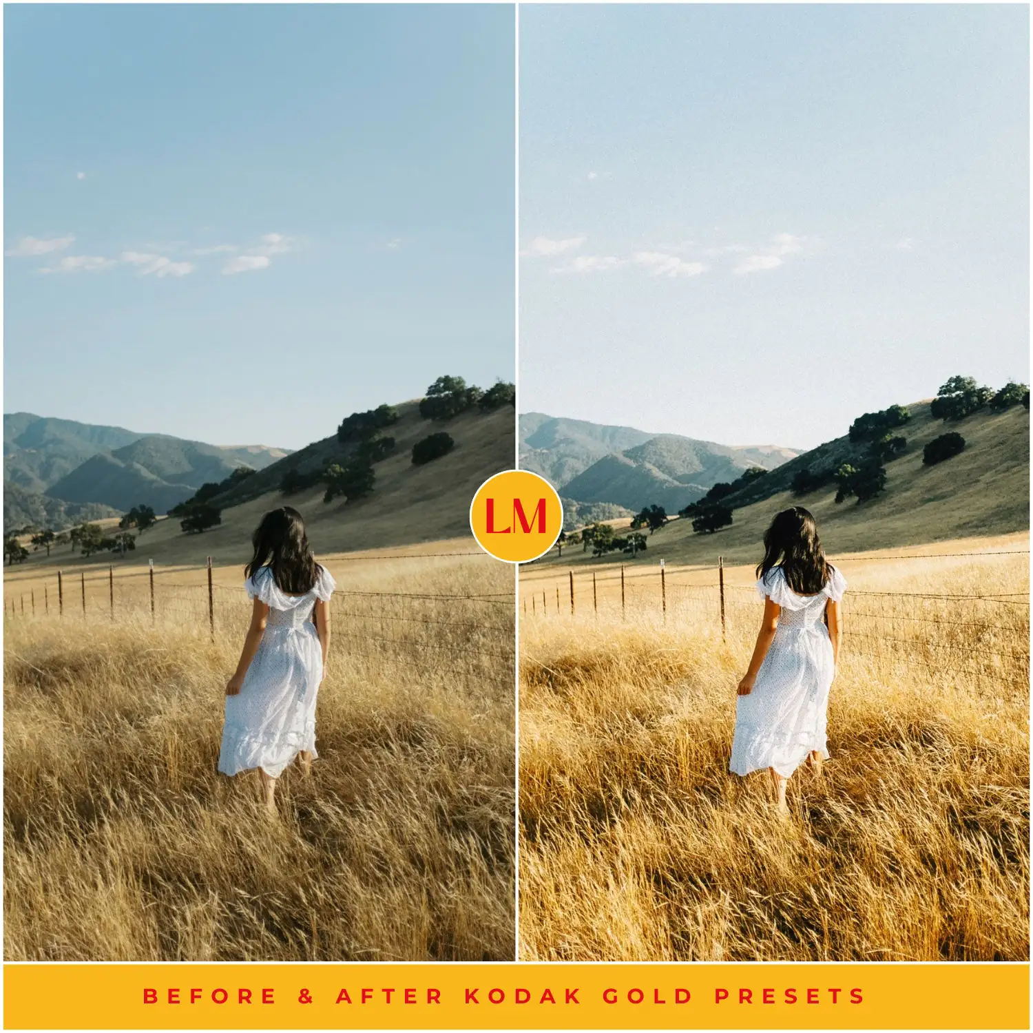 Kodak Gold 200 Film Preset Collection - Image 12