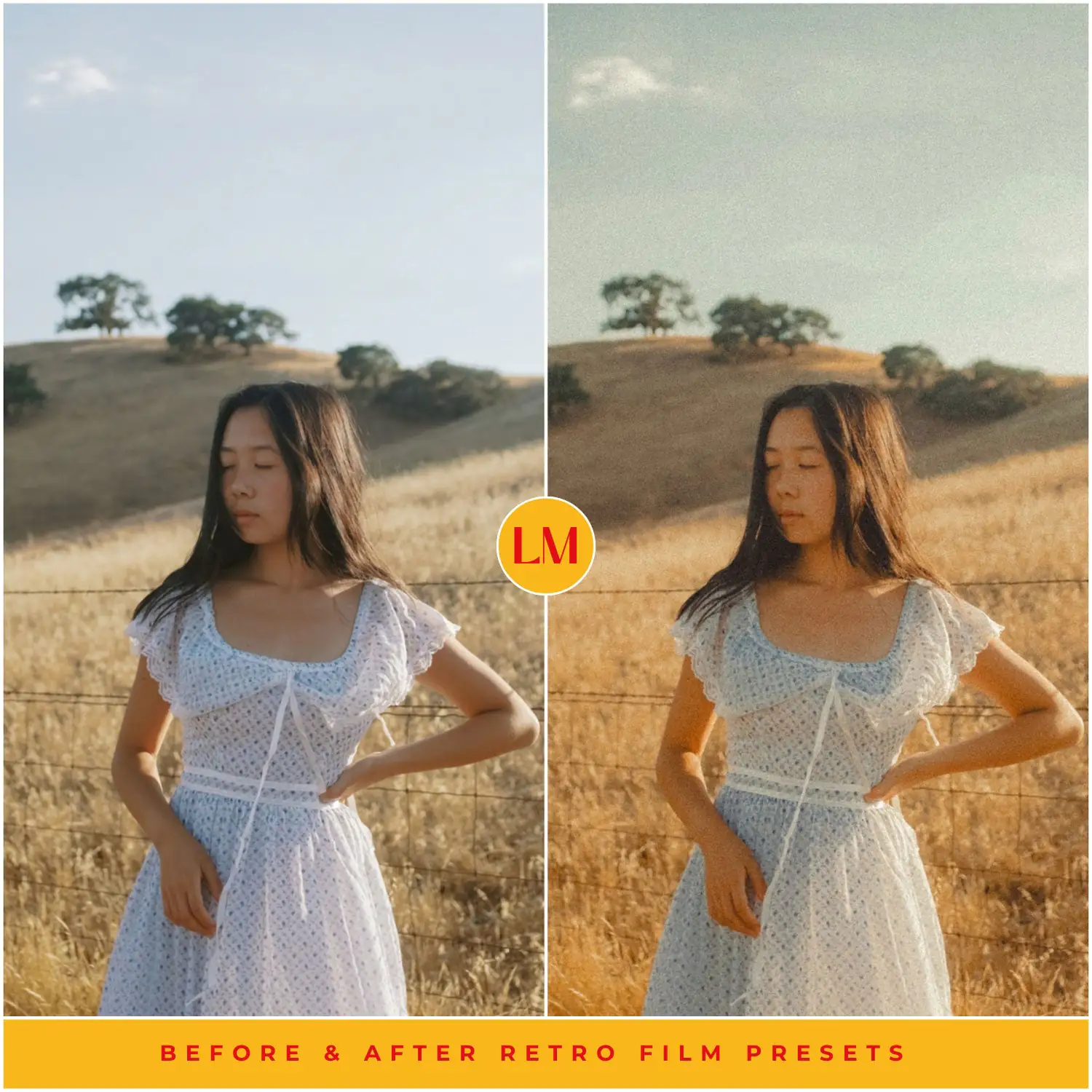 Retro Film Preset Collection 4 Retro Film Preset Collection - Image 4