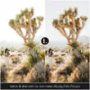 Moody Film Preset Collection - Image 15