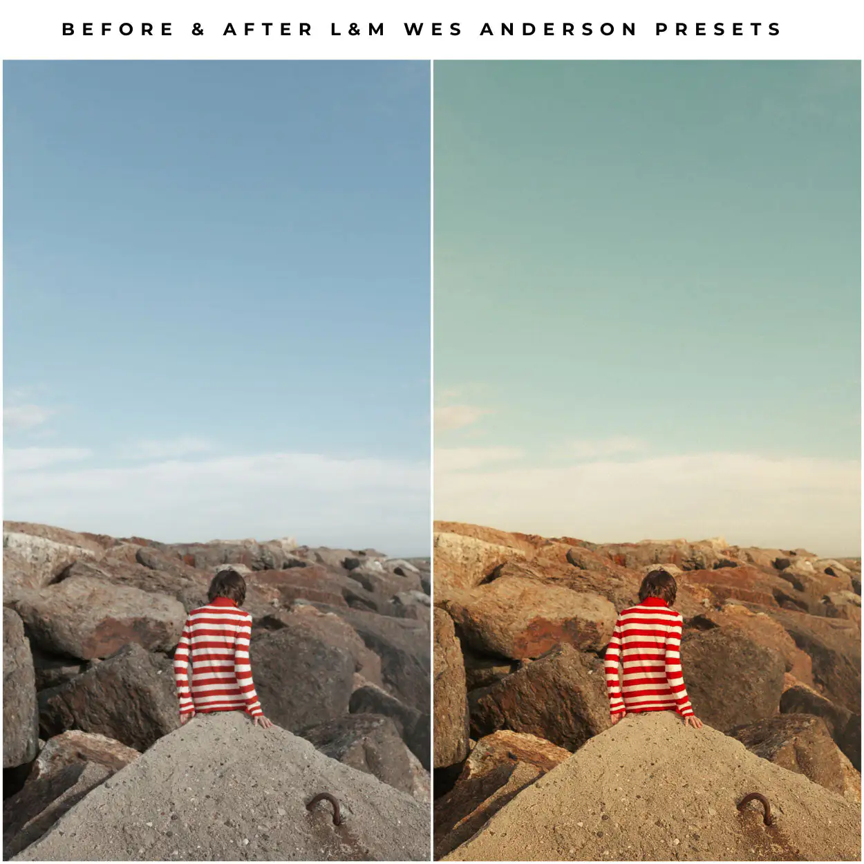 Wes Anderson Style Preset Collection - Image 10