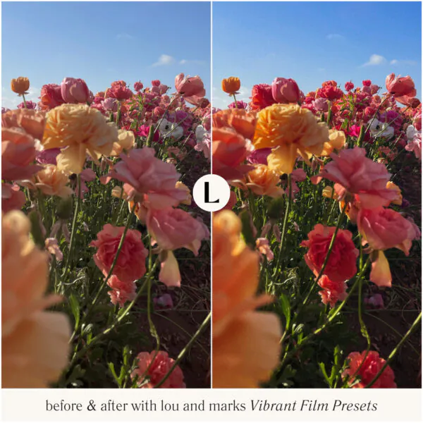 Vibrant Film Preset Collection - Image 11