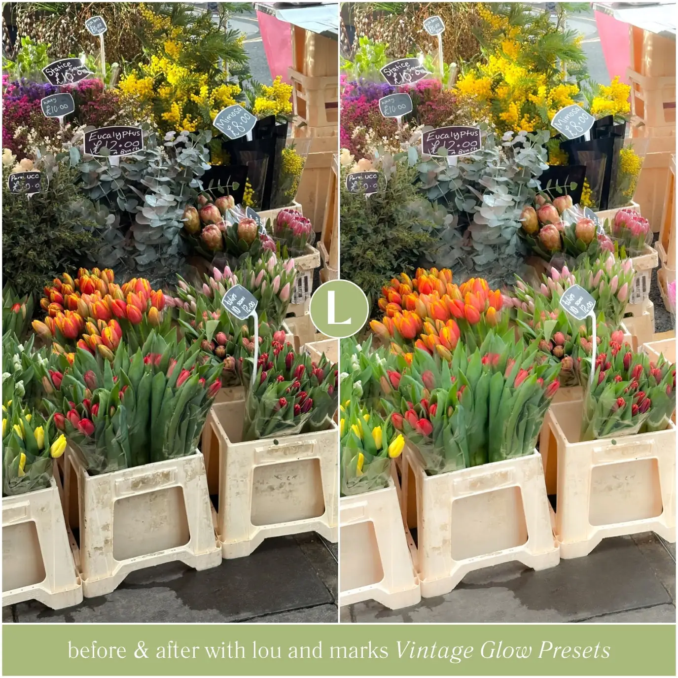 Vintage Glow Preset Collection 9 Vintage Glow Preset Collection - Image 9