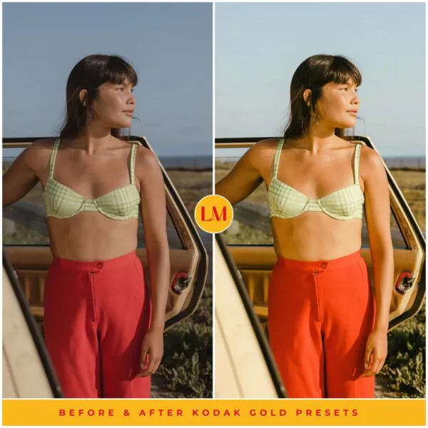 Kodak Gold 200 Film Preset Collection - Image 26